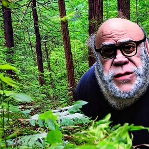 Image similar to photo of feral bigfoot cryptid danny devito in the woods