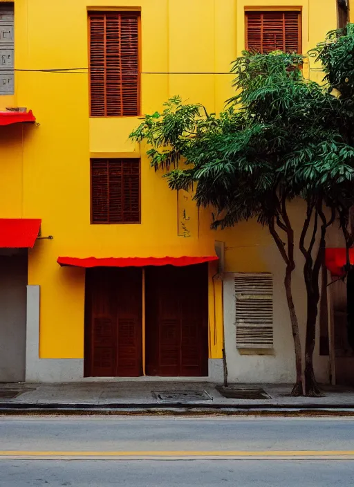 Image similar to minimalist street photography by wes anderson and by ansel adams, singapore shophouses, portra 4 0 0, intense shadows, warm hue, golden hour