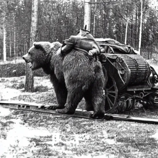 Image similar to a picture of a enormous bear pulling a towed canon on wheel behind him, eastern front, ww 2, historical picture
