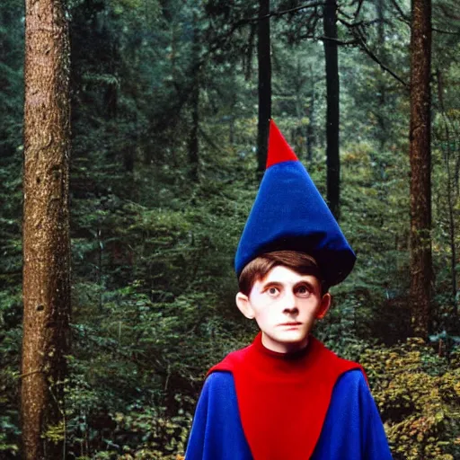 Image similar to portrait of wirt from over the garden wall. a 1 6 years old gloomy awkward boy with big brown eyes and shaggy brown hair wearing a red dunce hat and a blue navy cape, standing in the forest, kodachrome photograph, 1 9 9 5