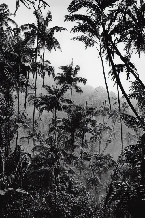 Image similar to year 1 9 0 0, photography, black and white, alien buildings, jungle