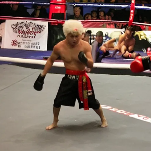 Prompt: samoyed dog competing in muay thai kickboxing world championship