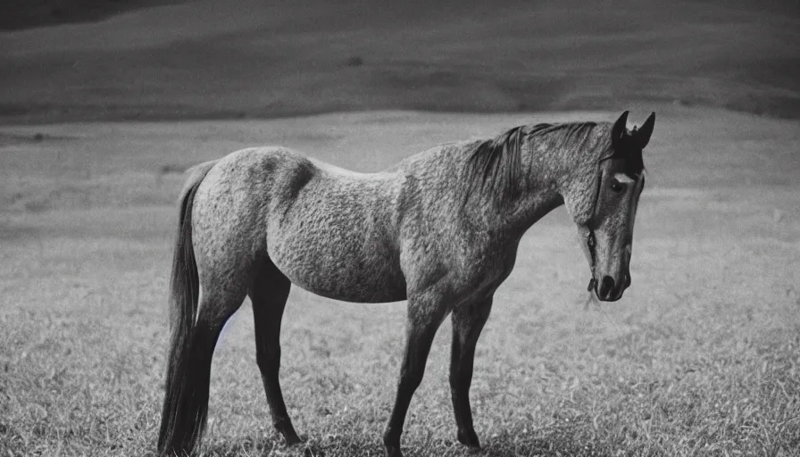 Prompt: movie still of a horse made of moth, cinestill 8 0 0 t 3 5 mm eastmancolor, heavy grain, high quality, high detail