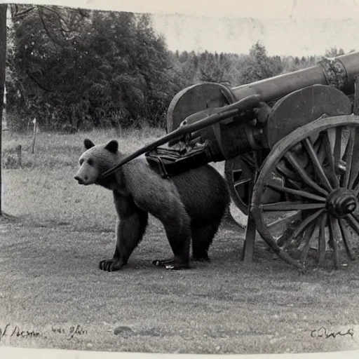 Image similar to a picture of a bear pulling a big canon behind him. the canon is harnessed to the horse and towed, ww 2, historial picture, western front