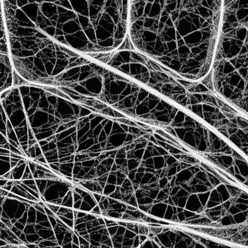 Prompt: neural net seen through an electron microscope, 4 k, hyper realistic, high resolution, landscape, beautiful, aged paper texture