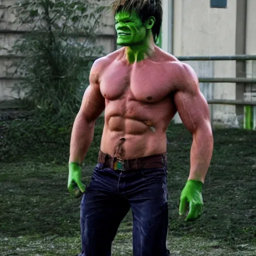 Prompt: sauli niinistö as hulk