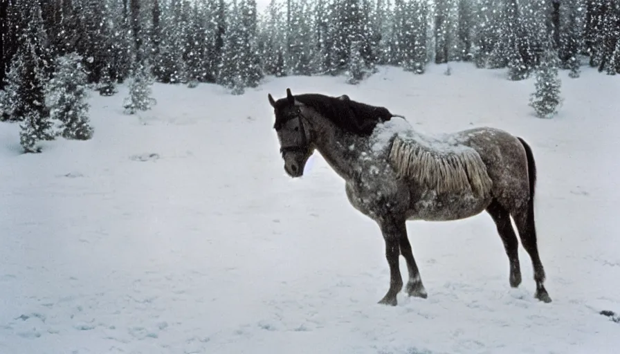 Image similar to 1 9 6 0 s movie still close up of marcus aurelius frozen to death under the snown next to his horse frozen under the snow by the side of a river with gravel, pine forests, cinestill 8 0 0 t 3 5 mm, high quality, heavy grain, high detail, texture, dramatic light, anamorphic, hyperrealistic, detailed hair, foggy