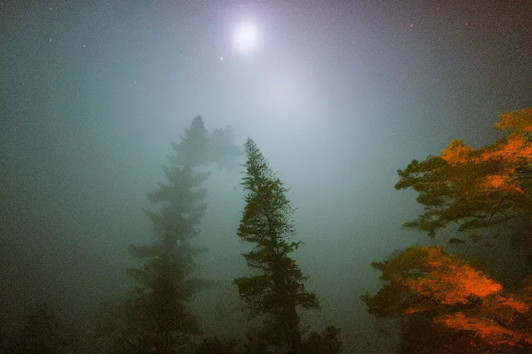 Prompt: huge red giant japanese fishes are flying between the tall trees of a deep forest at night. Looking up view, dramatic perspective.misty, mood.