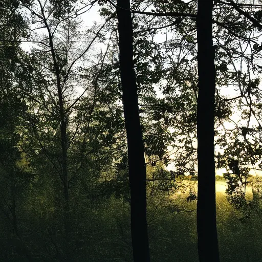 Prompt: lights in the far distance, seen through trees of a forest