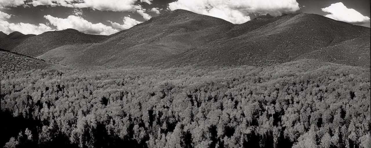 Prompt: the old american west, hills and forest, cloud shadow, vivid, photograph by ansel adams