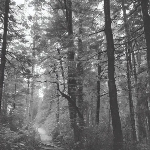 Prompt: trail cam photo of a grey alien in a forest