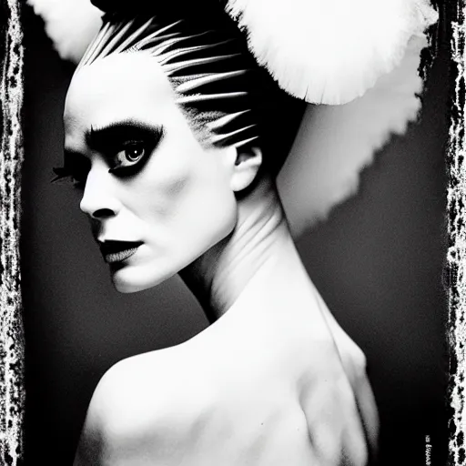 Image similar to bride of frankenstein, steven meisel photography