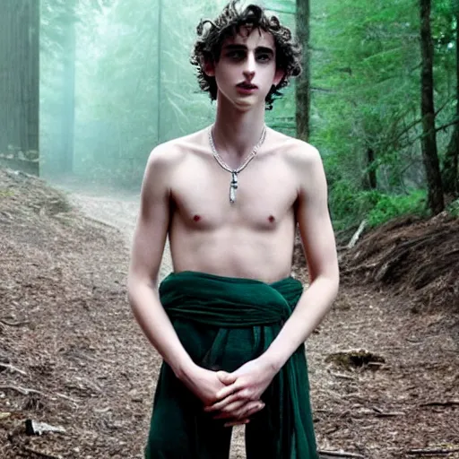 Image similar to timothee chalamet with loincloth, ominous, eerie forest in background