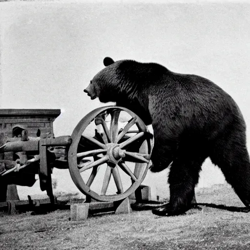 Prompt: a picture of a giant bear pulling a canon, eastern front, historical picture