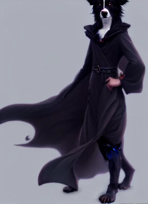 Image similar to wide angle beautiful full body portrait of a cute male anthropomorphic anthro border collie fursona wearing black robes, character design by charlie bowater, henry asencio, and ross tran, furry art, furaffinity, beautiful, glamor pose, detailed, aesthetic, trending on artstation