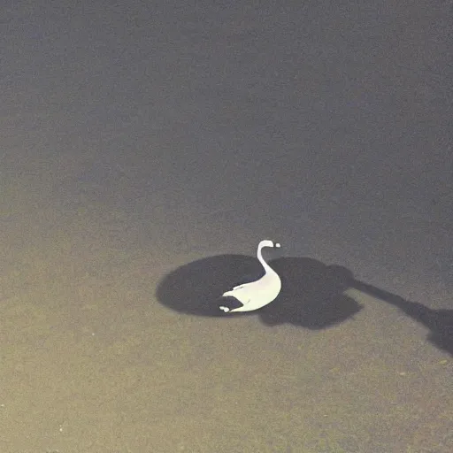 Prompt: shadow of the goose