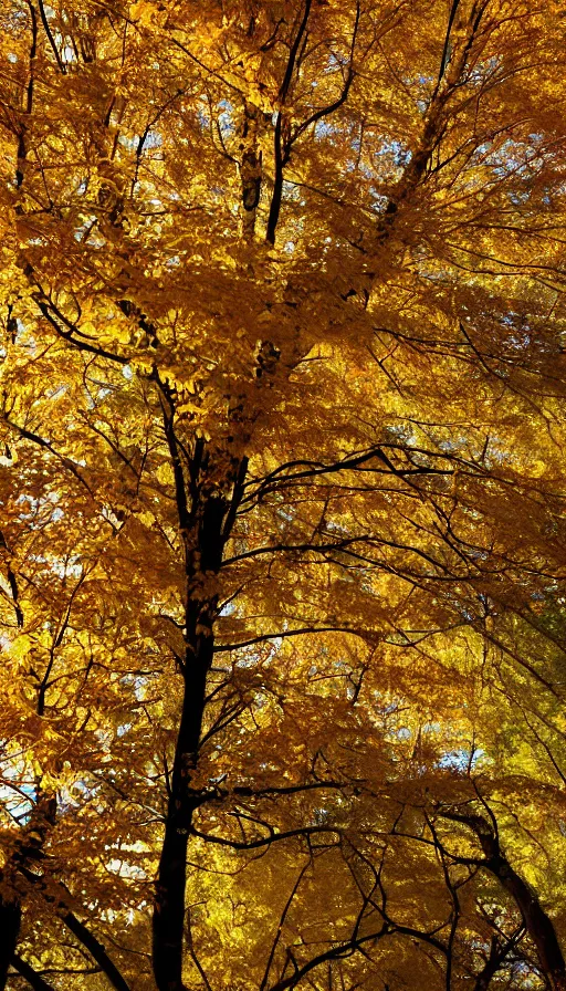 Image similar to beautiful autumn tree with yellow leaves, melancholy autumn light, blood pumping through veins, blood vessels stretching out intricately, biological beauty, sinister, scientific close-up of veins and blood, atmospheric HD photograph, depth of field