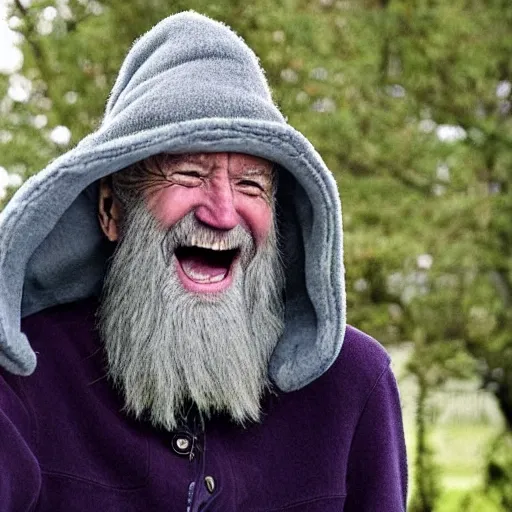 Prompt: joe biden as an old druid wizard, bushy grey eyebrows, long grey beard, disheveled, wise old man, wearing a grey wizard hat, wearing a purple detailed coat, a bushy grey beard, sorcerer, he is a mad old man, laughing and yelling