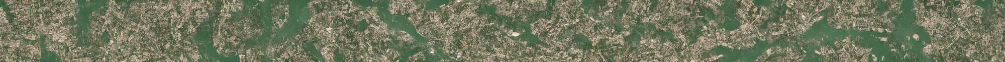 Image similar to satellite view of a town shaped like an alligator