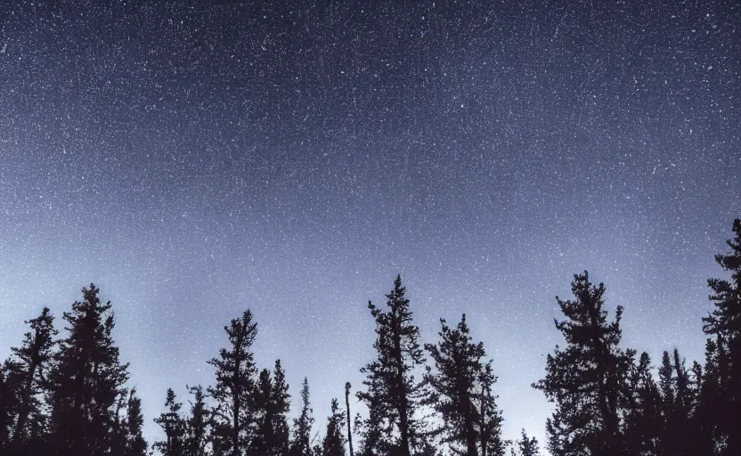 Prompt: atmospheric photo of the forest in the mountains, night sky