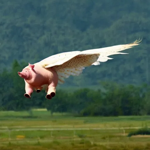 Prompt: a pig with wings, soaring through the sky like a hawk