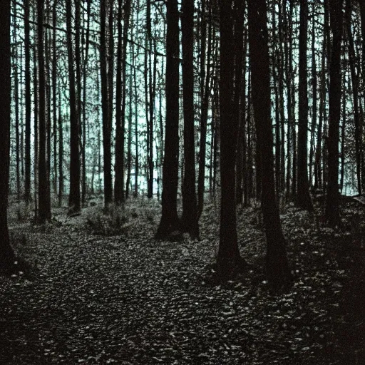 Image similar to glowing eyes in a dark creepy forest at night, 35 mm, film shot