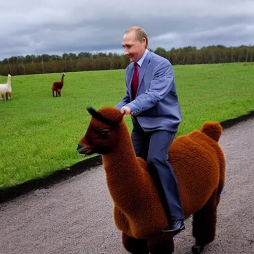 Image similar to vladimir putin riding a cute alpaca, epic shot