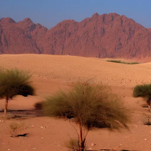 Prompt: Arik Sinai in Sinai