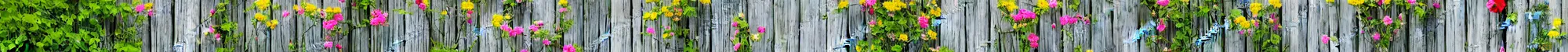 Image similar to wooden fencing with a few small flowers