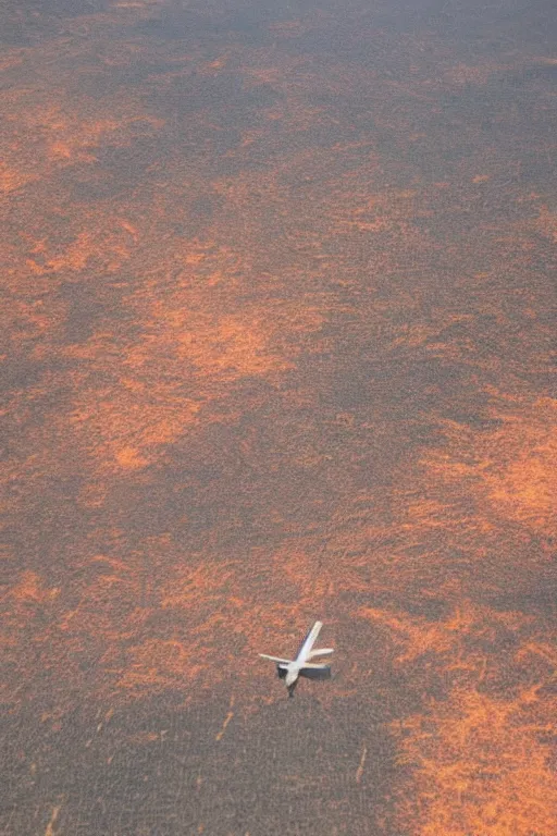 Image similar to Travel Ad, close-up on a plane flying above a drying landscape, forest fire