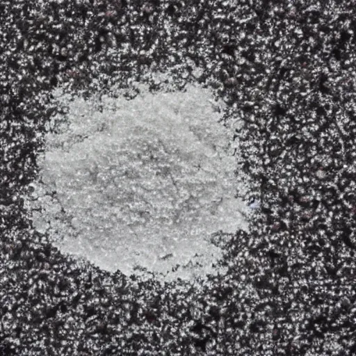 Image similar to a particle of sugar, from perspective of an ant