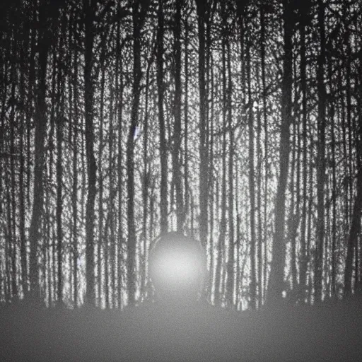 Image similar to grainy surveillance photo still of an alien in the woods at night hiding in the trees of a forest