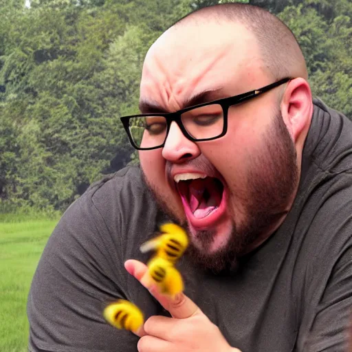 Image similar to HD photo of an angry WingsofRedemption screaming at bees