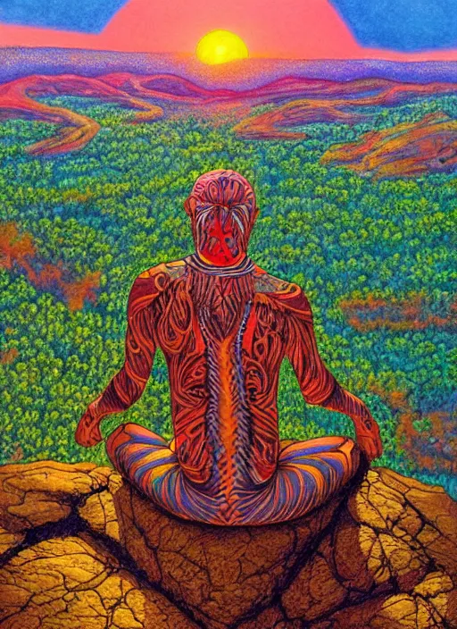 Image similar to an shaman sitting at the top of a cliff, looking down at the valley, doing a vision quest, beautiful sunset, art by alex gray