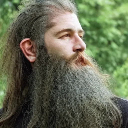 Prompt: bearded male druid gray face pointy ears with vines as hair wizards of the coast