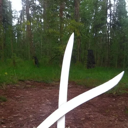 Prompt: Guys! Look at what I found at the campsite! I’m really confused it looks sort of alien like, kind of like a rune.