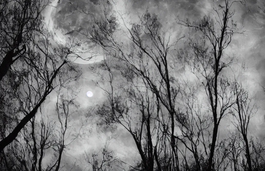 Image similar to energetic brushstrokes create optical flow intact flawless ambrotype from 4 k criterion collection remastered cinematography gory horror film, ominous lighting, evil theme wow photo realistic postprocessing cryengine stars lingering above moon visible through the trees worms eye photograph by ansel adams