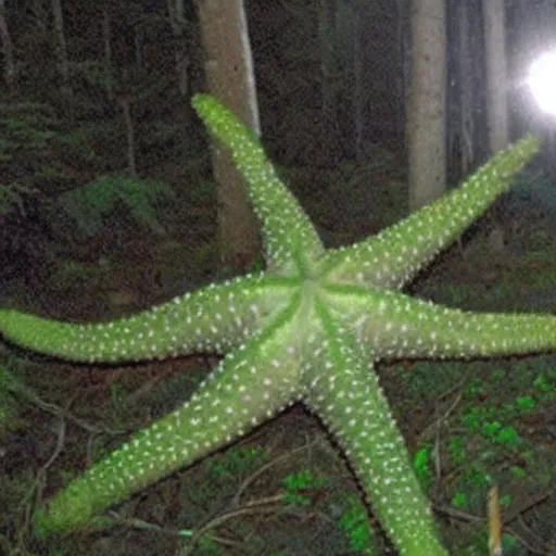 Prompt: a weird giant starfish in the forest caught on trailcam nightvision footage camera, grainy low quality