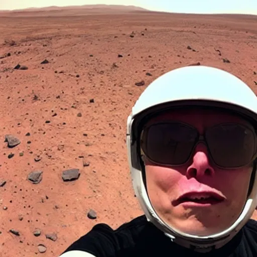 Image similar to elon musk selfie on mars