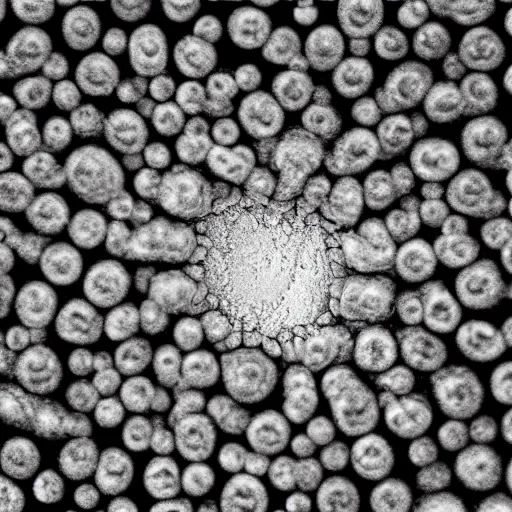 Prompt: tunneling electron microscope image of oxygen escaping from a cell. mit technology review. nature journal. nobel prize winning. ultra detailed 8 k tiff