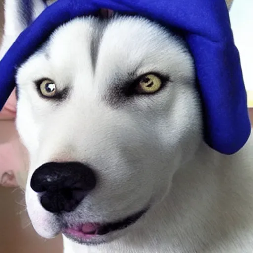 Image similar to girl with a pearl earring but as a siberian husky dog, ultra realistic, very detailed