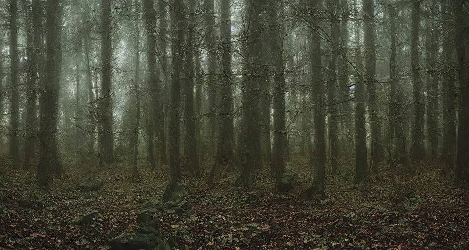 Image similar to Enchanted and magic forest, by Alyssa Monks