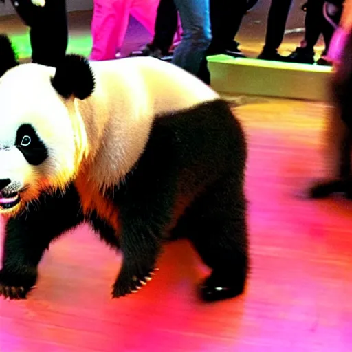 Image similar to panda dancing at an eletronic party