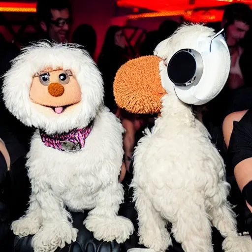 Prompt: a white cockapoo wearing headphones in a nightclub with gok wan as muppets