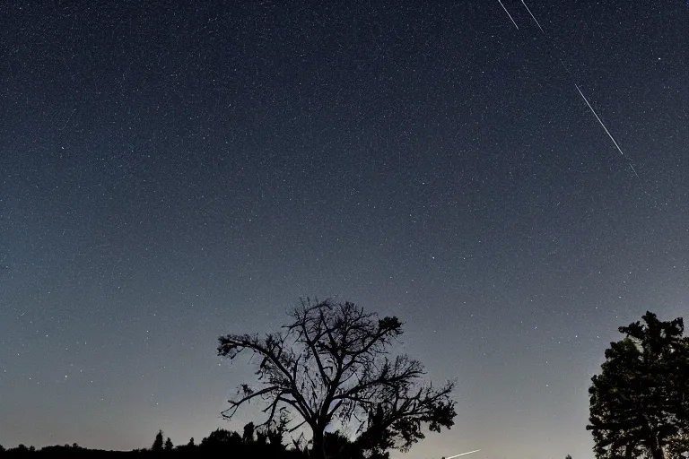 Prompt: a night sky photo during a heavy perseid meteor shower. a withered tree is in the foreground. a very detailed 4 k space photo. sence of awe, featured on flickr