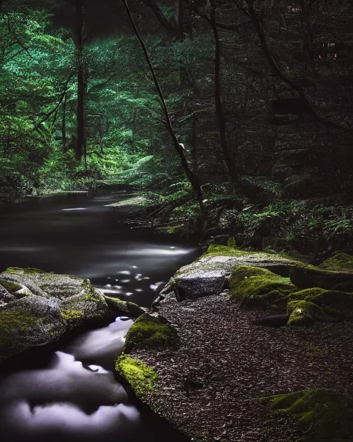 Prompt: a gently flowing stream in the middle of a japanese forest at night, dark and dim lighting, beautiful, tranquil, moody, cinematic, fantasy, 3 5 mm lens, volumetric lighting, first person view, photographic render, hyper realistic