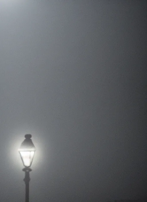 Image similar to close - up of a lonely duck under a street light, fog, still from a movie by bong joon - ho