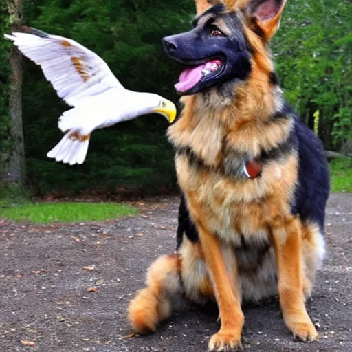 Image similar to a humanoid german shepherd posing as a eagle scout. pinterest, 4 k.