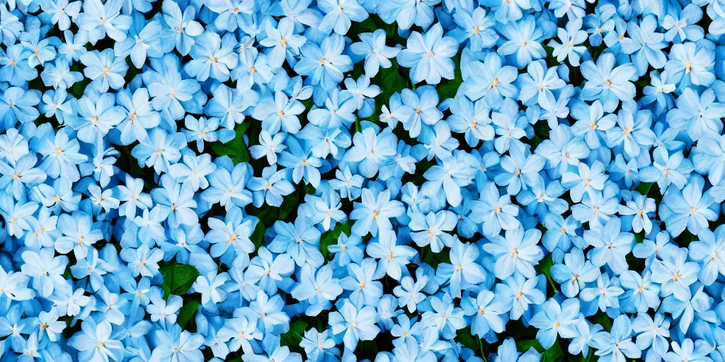 Image similar to minimalistic wallpaper of light blue flowers, matte painting