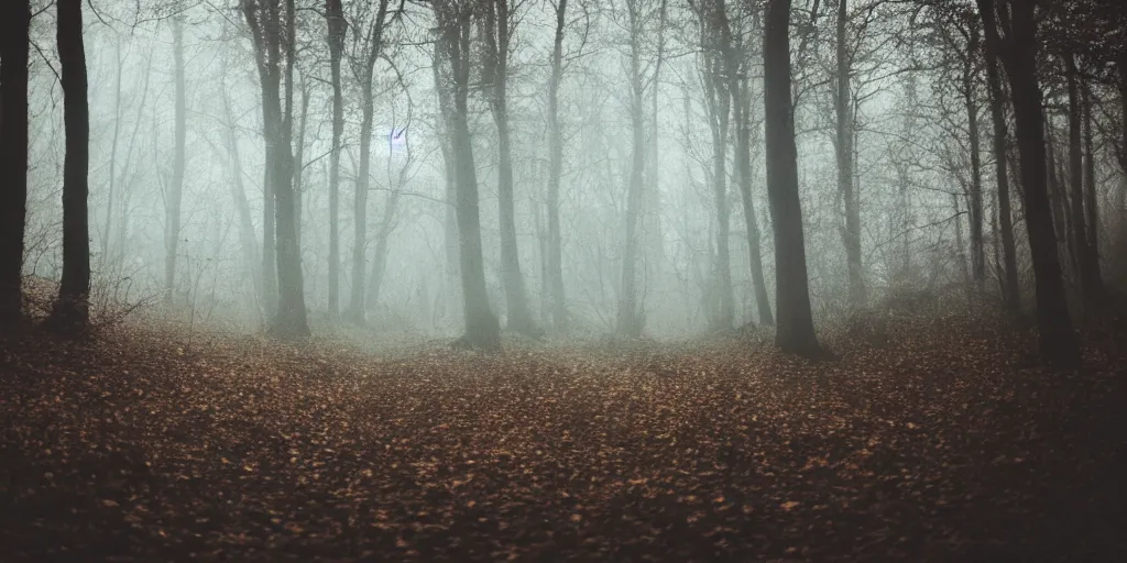 Prompt: a white female ghost in a dark forest, autumn, 35mm, cinematic, mist, photorealistic, depth of field, gloomy